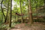 tree web/hammock